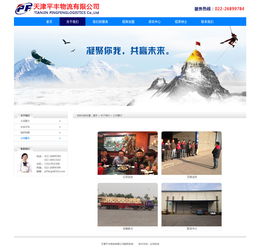 物流公司網(wǎng)站設(shè)計(jì) 打造高效、專(zhuān)業(yè)的數(shù)字門(mén)戶(hù)