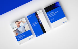 科技信息公司的VI與網(wǎng)頁(yè)設(shè)計(jì) 塑造數(shù)字化品牌形象的雙重引擎